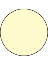Anti-slip Floor Graphics - Circles - Photoluminescent (Pack of 20)